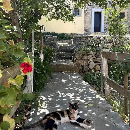 Apartment Lyra House *